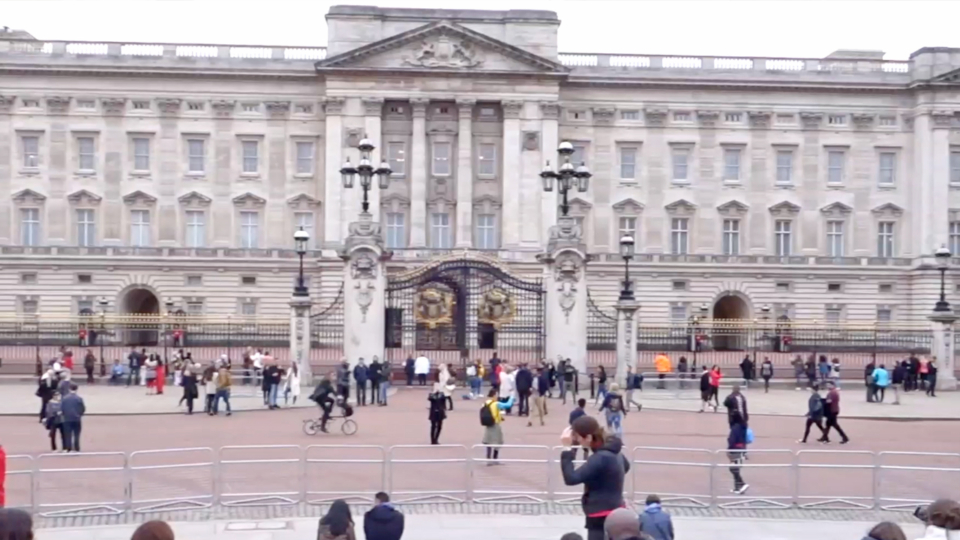 Buckingham Palace Guards standing motionless in front of the Palace